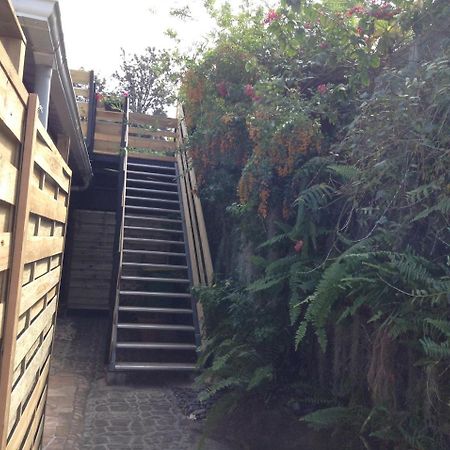 Le Begonia Apartment Ravine Seche Exterior photo